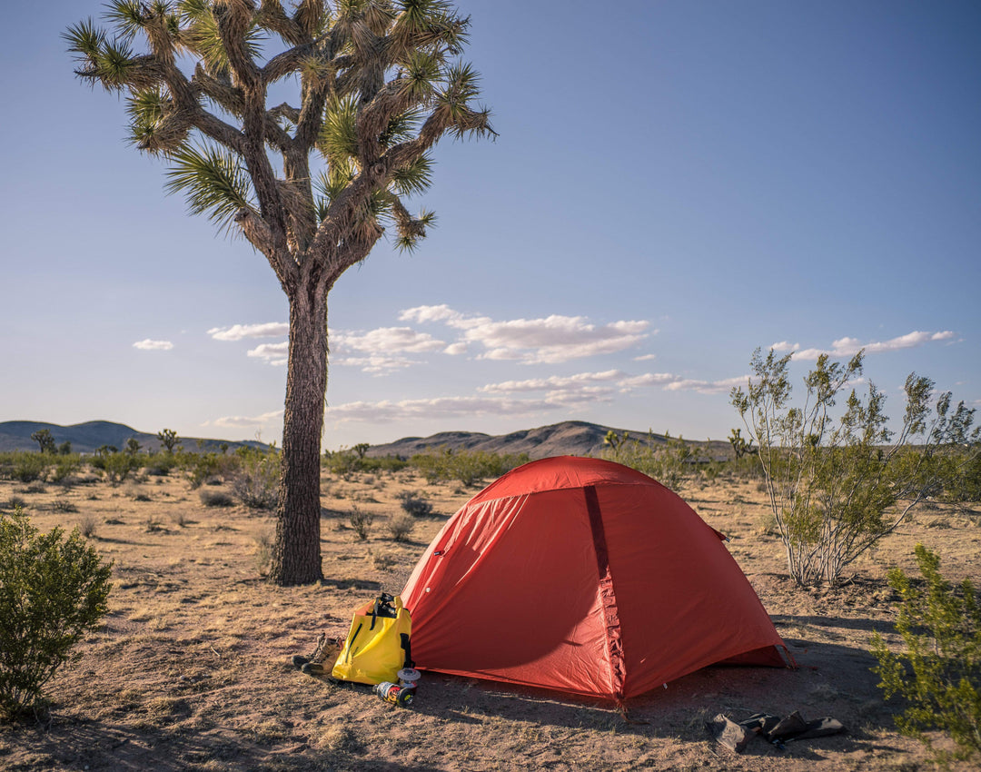 A California weekend in Joshua Tree